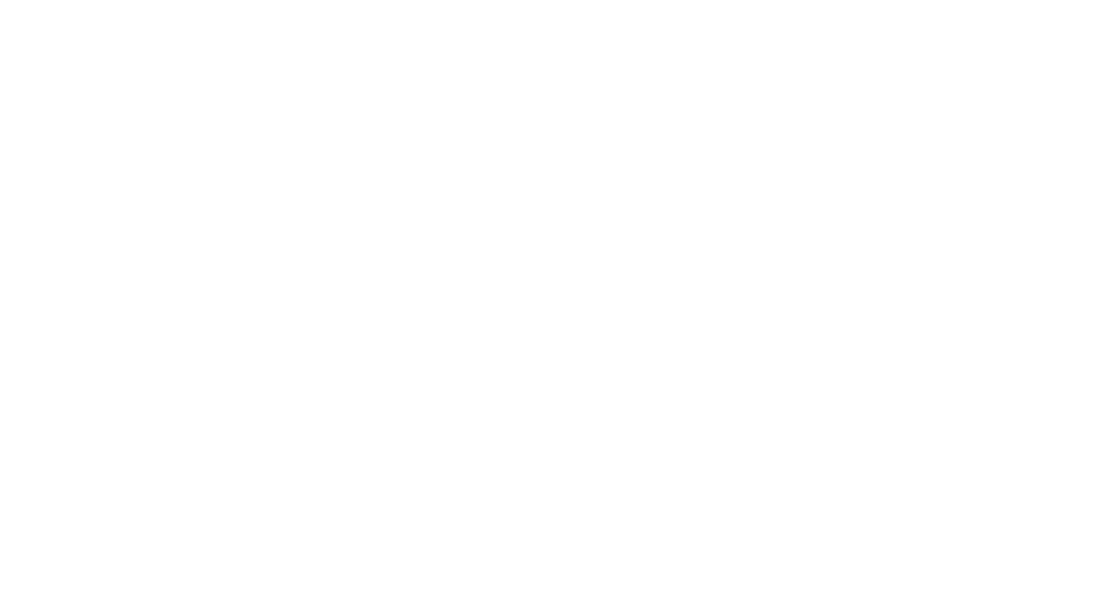 CIC